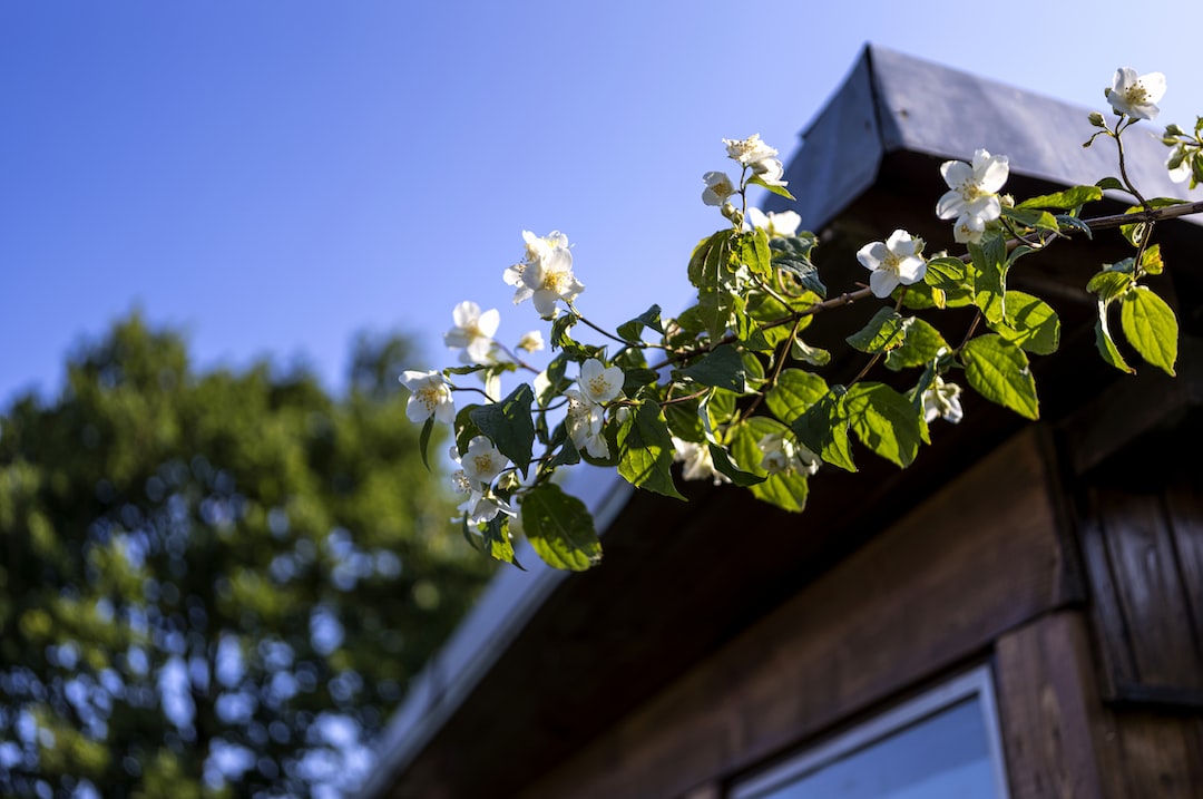 Schrebergarten-Upgrade