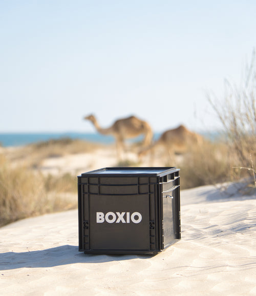 BOXIO : Solutions compactes pour le camping et la vanlife