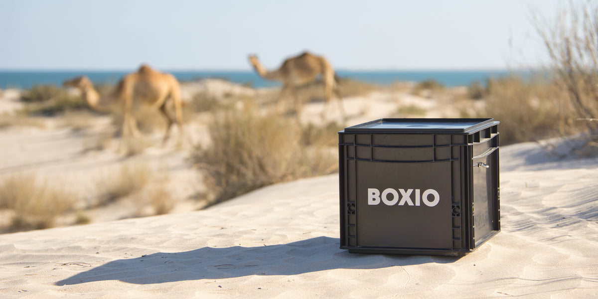 BOXIO : Solutions compactes pour le camping et la vanlife